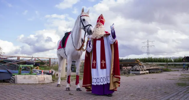 Paard van Sinterklaas