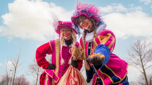 Sint's Stelten Pieten